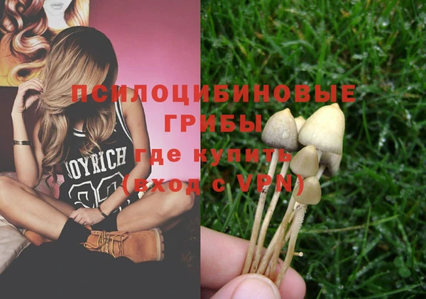 герыч Горнозаводск