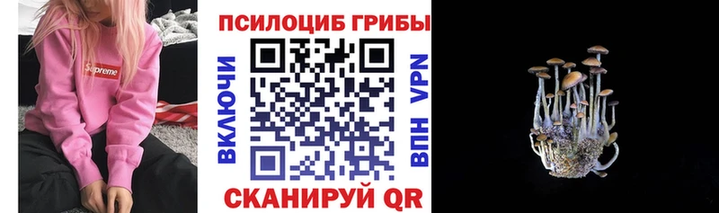 Галлюциногенные грибы Magic Shrooms Батайск