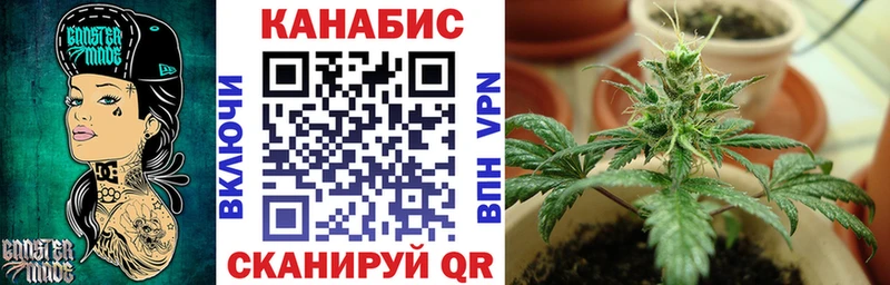 Конопля сатива  Батайск 